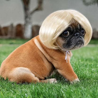 🐶 Funny Pet Wig Headband for Dogs & Cats – Cute Costume Accessory for Photos, Parties & Holidays