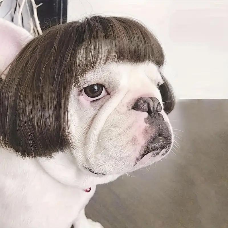 🐶 Funny Pet Wig Headband for Dogs & Cats – Cute Costume Accessory for Photos, Parties & Holidays
